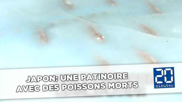 Japon: Une patinoire avec des poissons morts