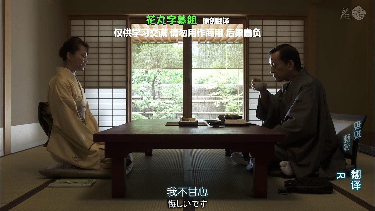 隐菊08