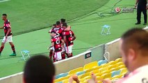 Melhores Momentos - Gols de Flamengo 2 x 0 Santos -  Campeonato Brasileiro (27-11-16)