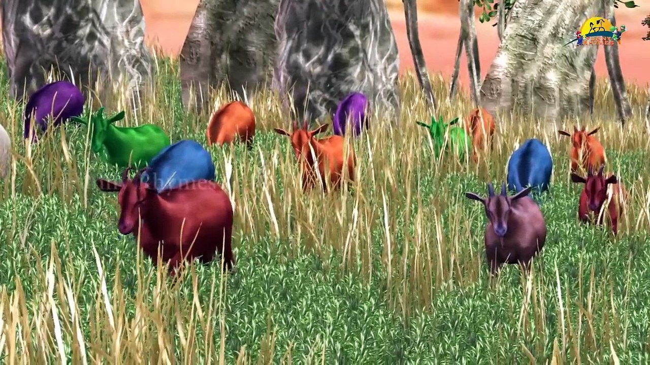 Dinosaurs Vs Cheetah 3d Animation Short Movie | 3d Cartoon Animals Short Film for Kids