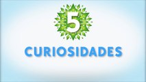 Curiosidades SIMS 5