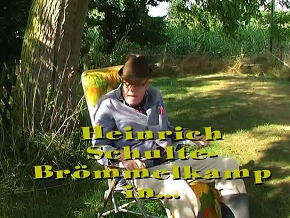 Der Hochzeitstag oder- der verpaßte Widerspruch