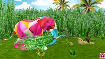 Dinosaurs Cartoons For Children | Dinosaurs Finger Family Rhymes | Dinosaur Short Movies For Kids