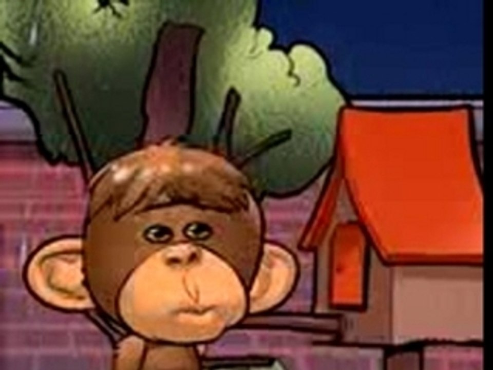 Polo polo chango ypajaro