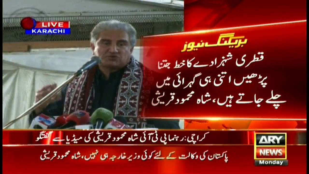 Shah Mehmood Qureshi talks to media