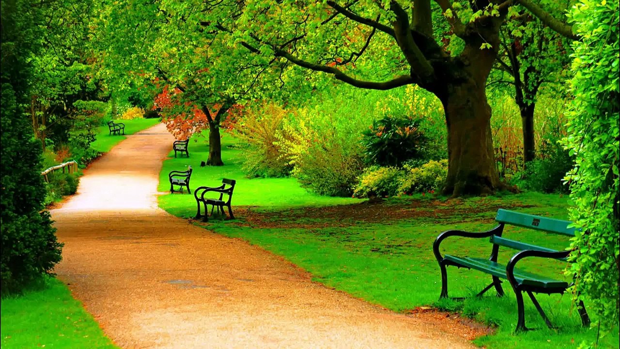 QuickBooks Tech Support number +1 888-336-0774  Quckbooks Tech Support Phone number