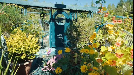 Kendi Elleriyle Yüzen Bir Ada İnşa Eden Mükemmel Çift