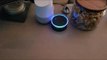 Amazon Echo and Google Home Get Trapped in Instructional Loop