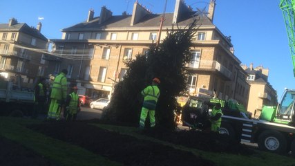 Vire: le sapin de Noël arrive devant la Porte Horloge