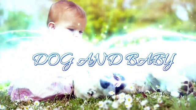 Baby Laughing at Labrador Dog because they are best friends Dog loves Baby Compilation