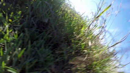 Un motard fait la connerie de regarder son téléphone en roulant !