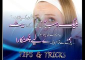 BLACKHEADS how to remove blackheads on a face at home remedies tutorial in urdu by tips and tricks