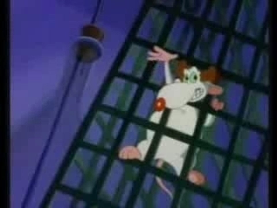 Pinky And The Brain Intro (and Larry) in slow motion