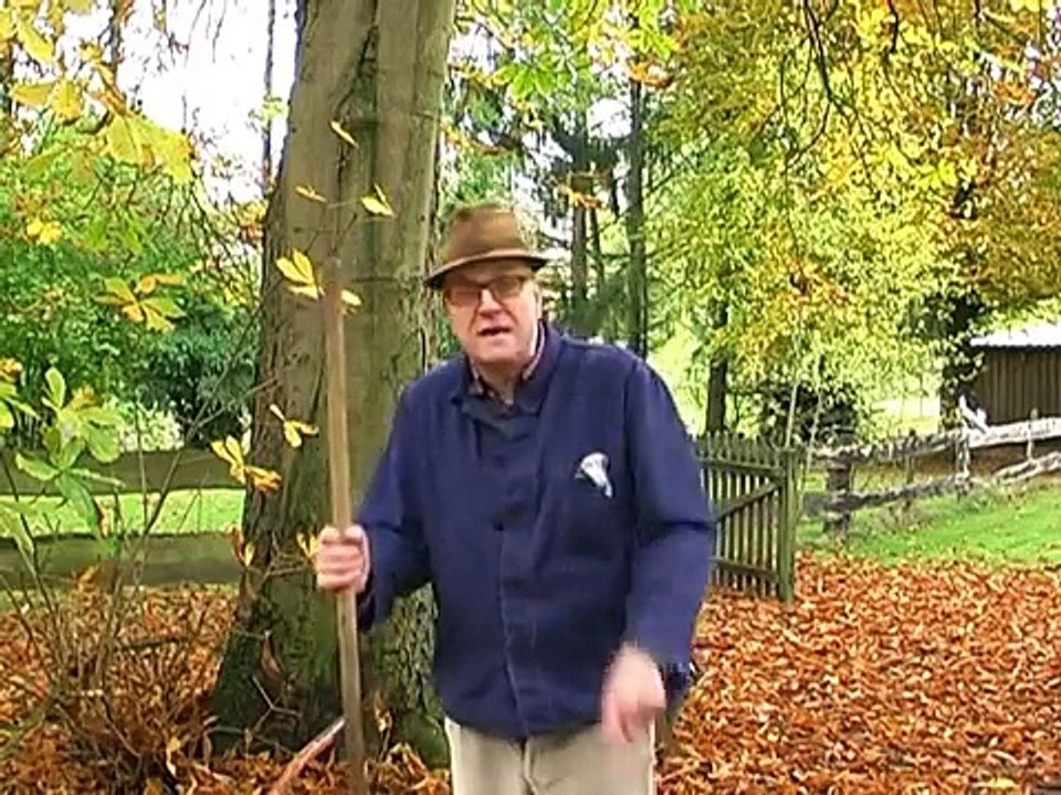 Donald Trump vs. Hillary Clinton - Kampf um das weiße Haus