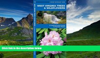 FAVORIT BOOK West Virginia Trees   Wildflowers: A Folding Pocket Guide to Familiar Species (Pocket