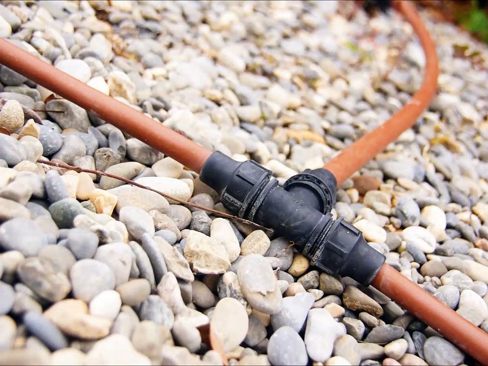 Le Marathon PhotoMenton 2016 - Toutes les photos