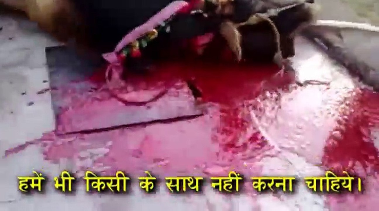 NON Veg