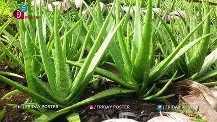 Natural Tips On How To Increase $exual Stamina