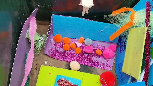 Elle transforme sa boîte aux lettres en Maternité pour araignées