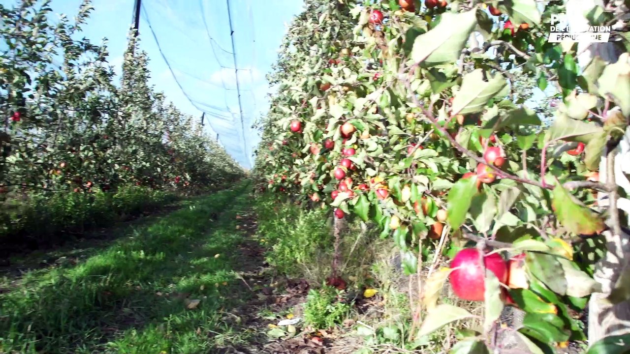 Développement d'une zone horticole et maraîchère - Prix de l'innovation périurbaine
