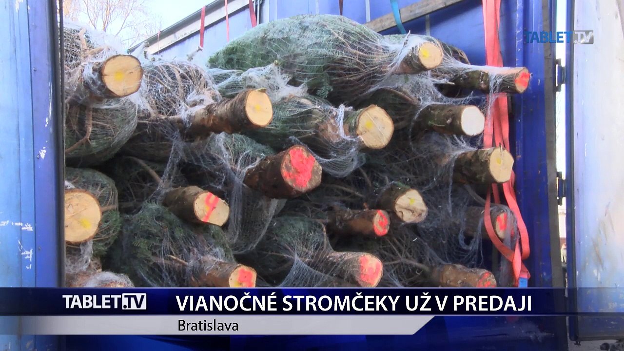 Predaj vianočných stromčekov sa začal už v novembri