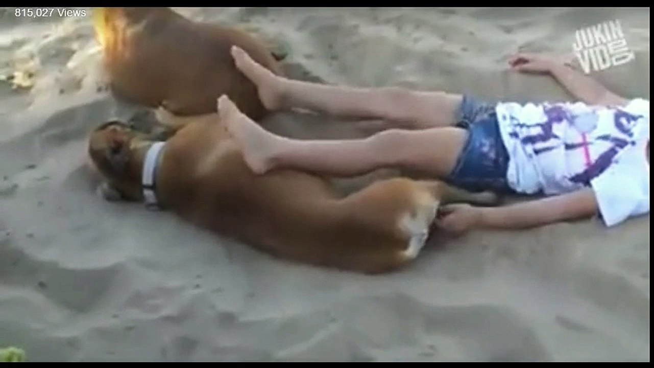 Funny girl cound not think how a dog could reply of kidding