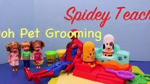 Spiderman amp Frozen Kids DisneyCarToys Play Doh Fuzzy Pets Salon Dog Elsa 39 s Kids Felicia
