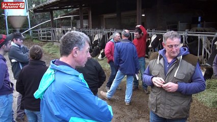 Lait de vache bio et cultures