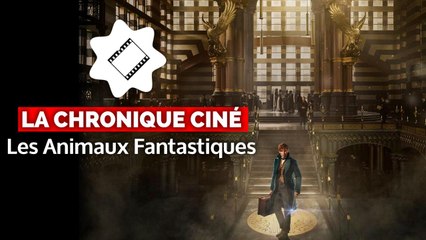 Les Animaux fantastiques : magique ou tragique ? La chronique ciné