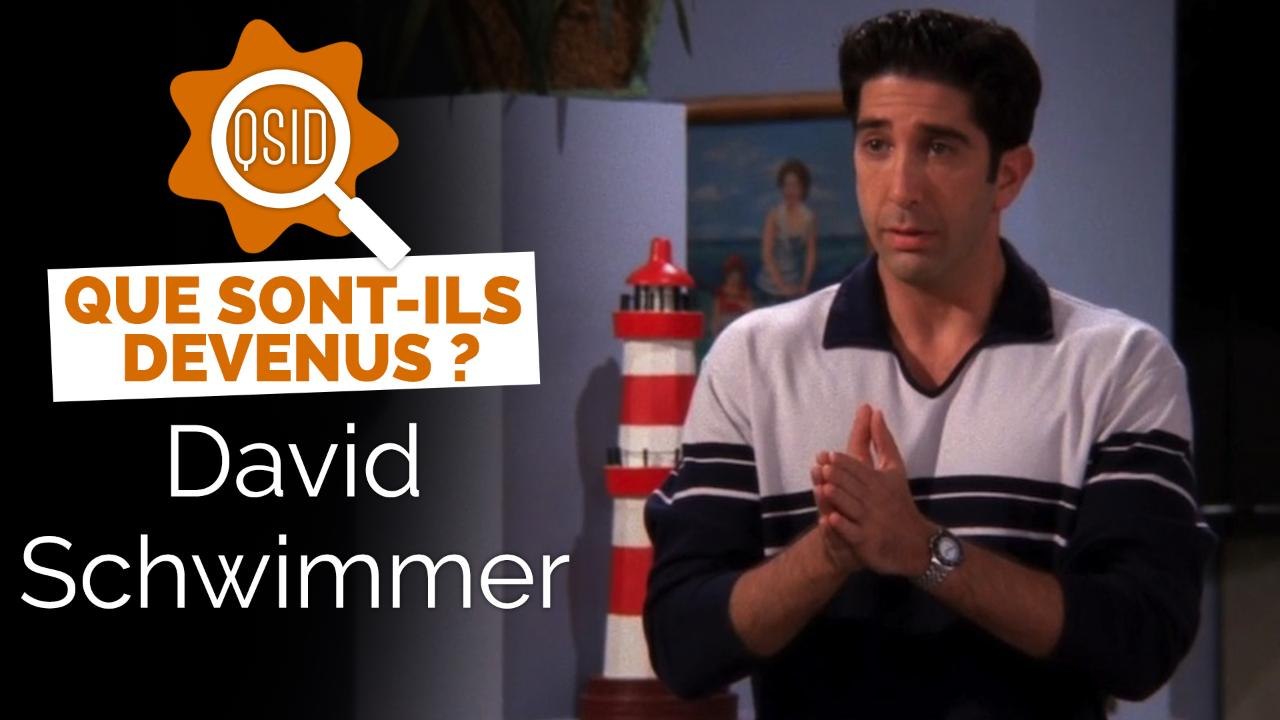 Que devient David Schwimmer (Ross Geller dans Friends) ?