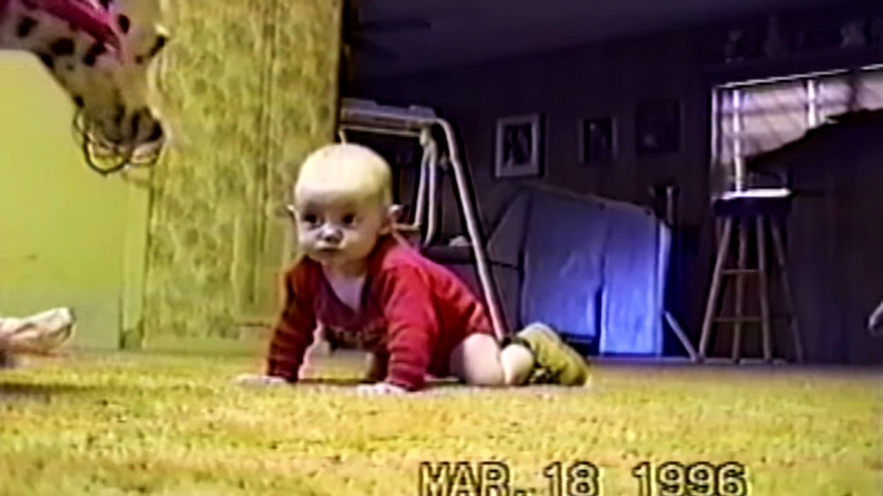 Dogs vs Babies