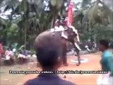 Elephant Rampage in Ettumanoor Mahadeva hindu shiva Temple Kerala India