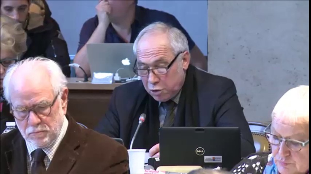 Pierre POILLOT. Diagnostic d'exploitation du MuséoParc Alésia. 28 novembre 2016