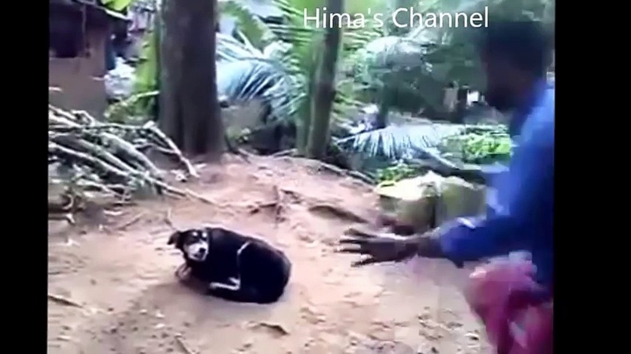 Funny Indian WhatsApp Videos __ WhatsApp Indian Funny Videos Compilation India