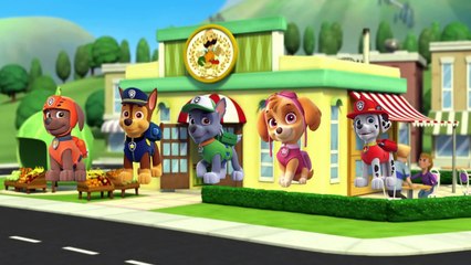 The Finger Family Paw Patrol -Family Nursery Rhyme - Paw Patrol Finger Family Songs