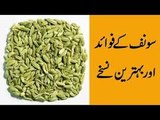 Health Benefits of Saunf  Benefits of Fennel Seeds in Hindi Urdu  سونف کے فوائد (1)