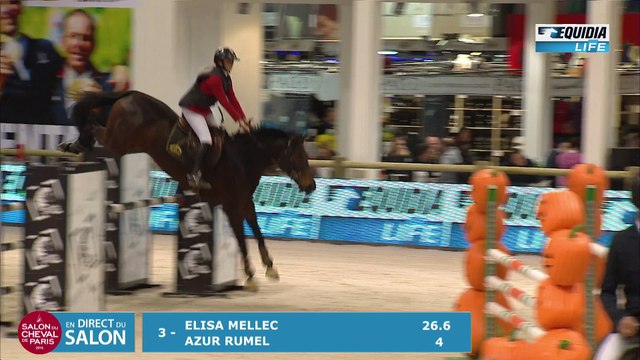 SALON DU CHEVAL EPREUVE 13 CSO PRO 3