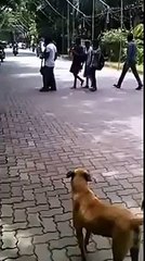 Whatsapp Funny Videos - Bike Stunt Went Wrong - Epic fail bike Stunt Accident in India