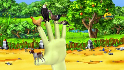 3d Finger Family Nursery kids animals Song | Five finger family children rhyme