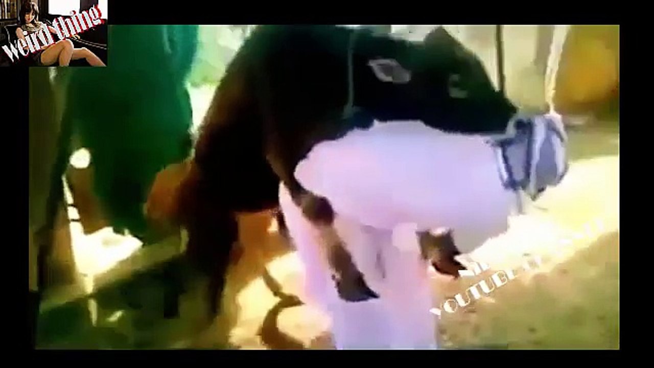Best funny prank video #10
