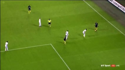 Marcelo Brozovic Goal HD - Inter	1-0	Fiorentina 28.11.2016