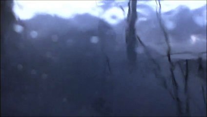 J23 : Ambiance aux 40èmes rugissants pour Yann Eliès / Vendée Globe