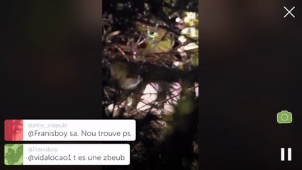 Accident de la route en direct sur periscope