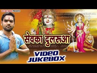 सेवका दुलरुवा | Sevka Dulrua | Titu Remix | Video Jukebox | Bhojpuri Devi Geet 2016