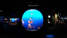 4k 360 animal experiences by This Is Me in Virtual Reality