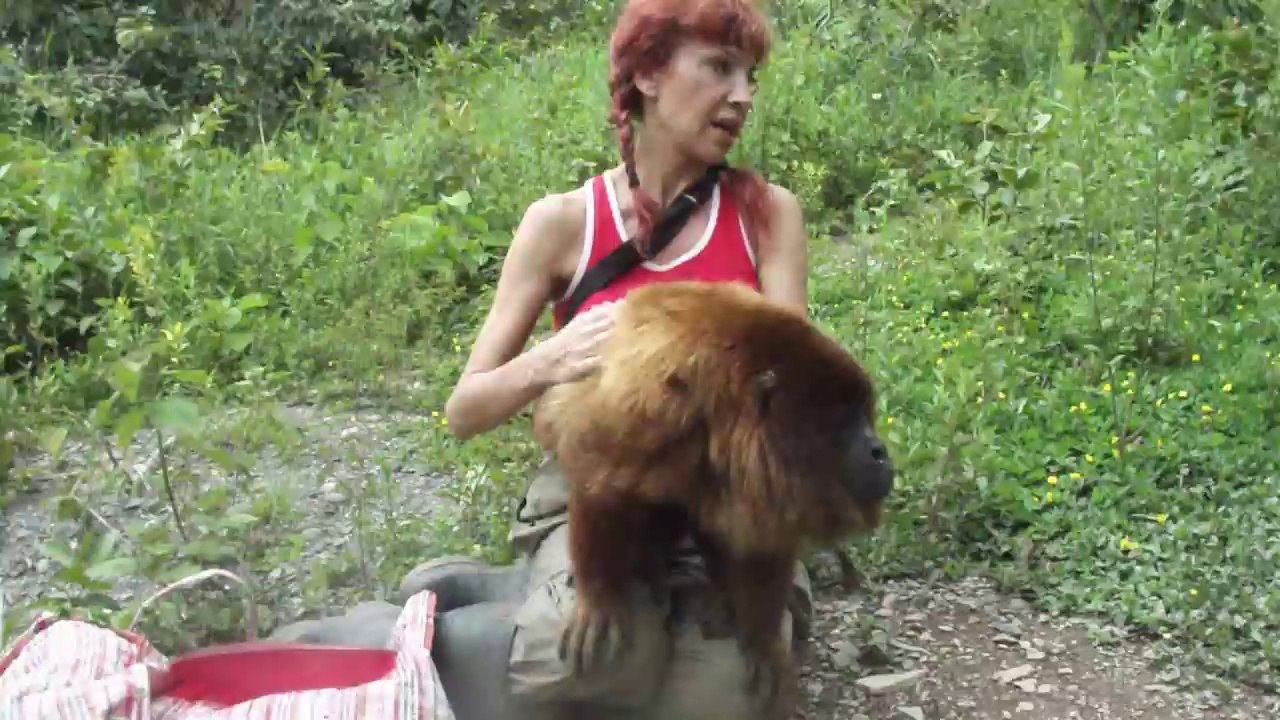 Howler Monkeys powerful announcement!