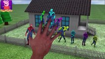 Spiderman Finger Family Song 3D  |  Finger Family Nursery Rhymes Spiderman Cartoon Learning