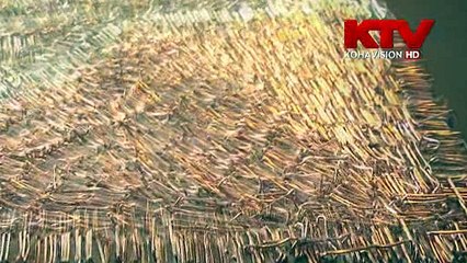 Strati zbulon portretin e Nënës Terezë, si vepër drejt rekordit të dhjetë Guiness