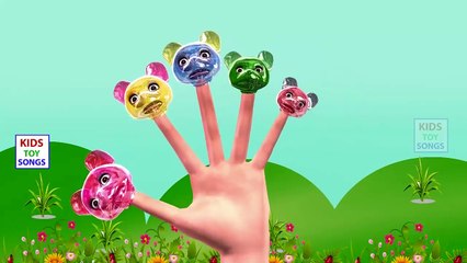 Animals Cartoons Finger Family | Animals Finger Family Cartoon Animation Nursery Rhymes for Children