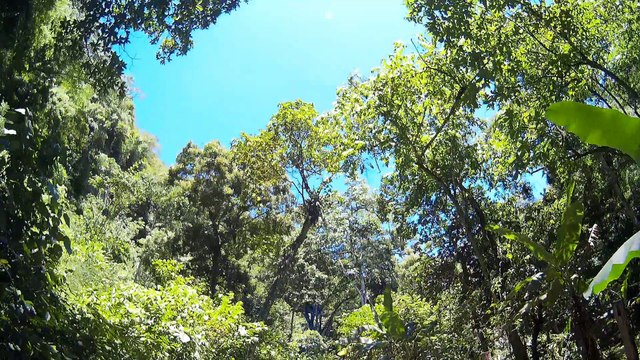 Puertas de Miraflores I Monagas Venezuela